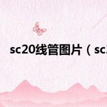 sc20线管图片（sc2）