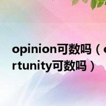 opinion可数吗(opportunity可数吗)