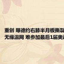 重创 曝德约右膝半月板撕裂!基本无缘温网 难参加最后1届奥运
