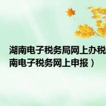 湖南电子税务局网上办税厅(湖南电子税务网上申报)