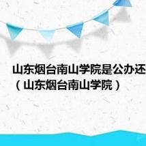 山东烟台南山学院是公办还是民办(山东烟台南山学院)