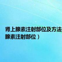 肾上腺素注射部位及方法（肾上腺素注射部位）