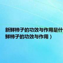新鲜柿子的功效与作用是什么(新鲜柿子的功效与作用)