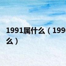 1991属什么(1990属什么)