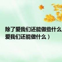 除了爱我们还能做些什么(除了爱我们还能做什么)