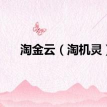 淘金云（淘机灵）