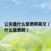 公关是什么意思啊英文(公关是什么意思啊)