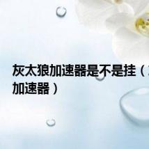 灰太狼加速器是不是挂（灰太狼加速器）