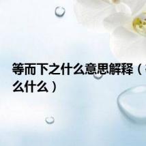 等而下之什么意思解释(等而什么什么)