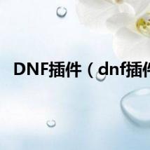 DNF插件（dnf插件）