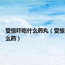 受惊吓吃什么药丸（受惊吓吃什么药）