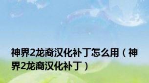神界2龙裔汉化补丁怎么用（神界2龙裔汉化补丁）