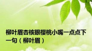 柳叶眉杏核眼樱桃小嘴一点点下一句（柳叶眉）