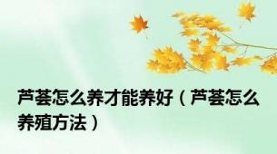 芦荟怎么养才能养好（芦荟怎么养殖方法）