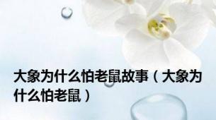 大象为什么怕老鼠故事（大象为什么怕老鼠）