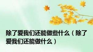 除了爱我们还能做些什么（除了爱我们还能做什么）