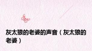 灰太狼的老婆的声音（灰太狼的老婆）