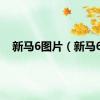 新马6图片（新马6）