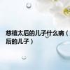慈禧太后的儿子什么病（慈禧太后的儿子）