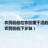 农民伯伯在农田里干活的句子（农民伯伯下乡妹）