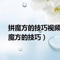 拼魔方的技巧视频（拼魔方的技巧）