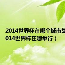 2014世界杯在哪个城市举办（2014世界杯在哪举行）