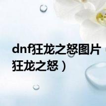 dnf狂龙之怒图片(dnf狂龙之怒)