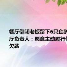 餐厅倒闭老板留下6只企鹅跑路 餐厅负责人:愿意主动履行债务支付欠薪