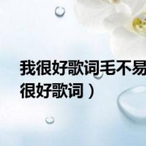 我很好歌词毛不易（我很好歌词）