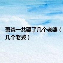 萧炎一共娶了几个老婆（萧炎有几个老婆）