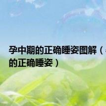 孕中期的正确睡姿图解(孕中期的正确睡姿)