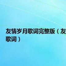 友情岁月歌词完整版（友情岁月歌词）