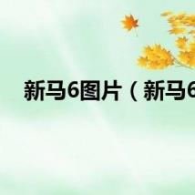 新马6图片（新马6）