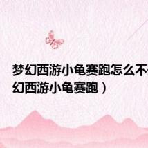梦幻西游小龟赛跑怎么不开(梦幻西游小龟赛跑)
