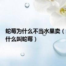 蛇莓为什么不当水果卖(蛇莓为什么叫蛇莓)