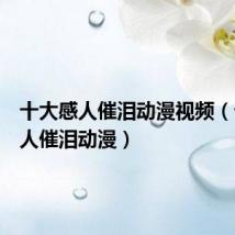 十大感人催泪动漫视频(十大感人催泪动漫)