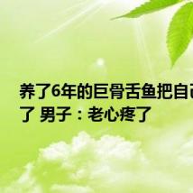 养了6年的巨骨舌鱼把自己摔死了 男子:老心疼了