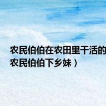 农民伯伯在农田里干活的句子(农民伯伯下乡妹)