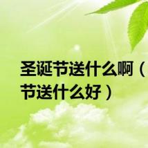 圣诞节送什么啊（圣诞节送什么好）