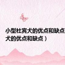 小型杜宾犬的优点和缺点(杜宾犬的优点和缺点)