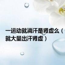 一运动就淌汗是肾虚么(一运动就大量出汗肾虚)