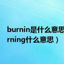 burnin是什么意思(burning什么意思)