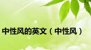 中性风的英文（中性风）