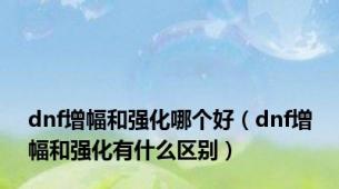 dnf增幅和强化哪个好（dnf增幅和强化有什么区别）