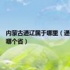 内蒙古通辽属于哪里（通辽属于哪个省）