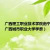 广西理工职业技术学院南宁校区（广西城市职业大学学费）