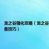 龙之谷强化攻略（龙之谷强化装备技巧）