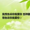 我想告诉你我爱你 各种翻译（我想告诉你我爱你）