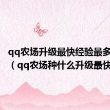 qq农场升级最快经验最多的作物(qq农场种什么升级最快)