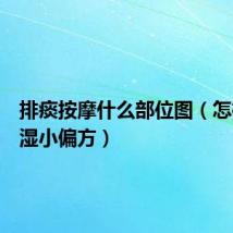 排痰按摩什么部位图(怎样去痰湿小偏方)